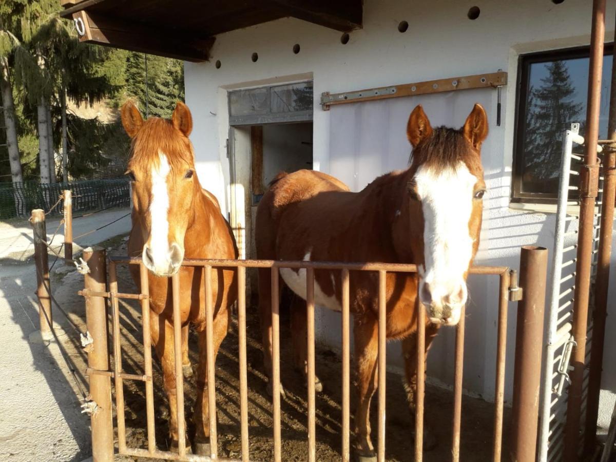 Appartamento Felderhof Maranza Esterno foto
