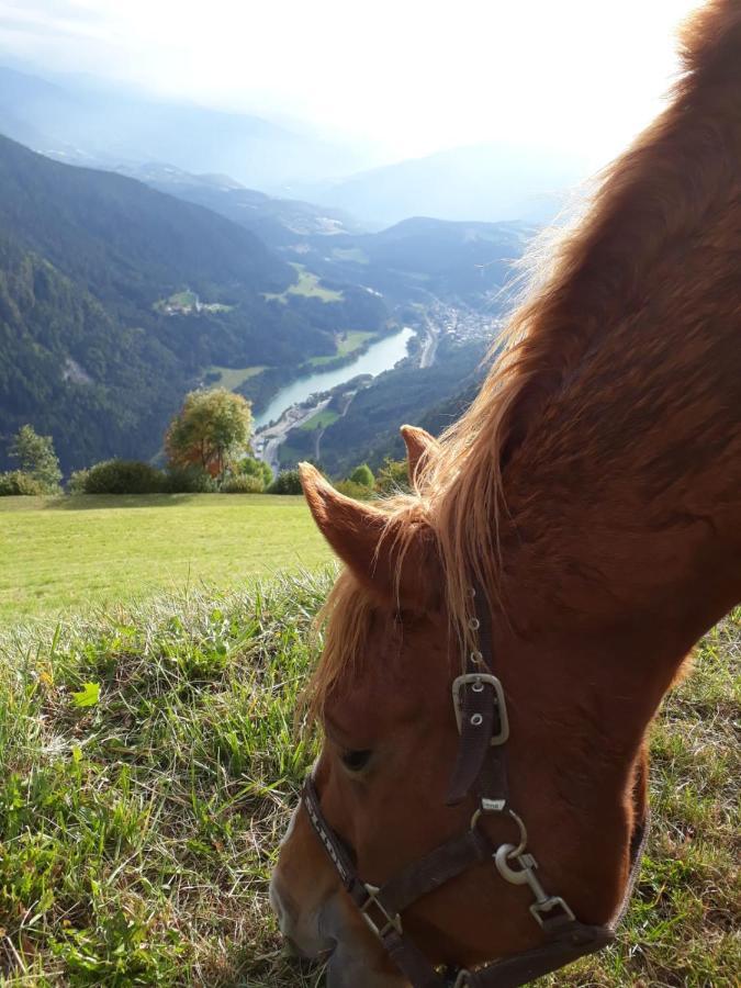 Appartamento Felderhof Maranza Esterno foto
